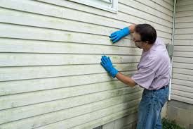 Best Historical Building Siding Restoration  in Novi, MI